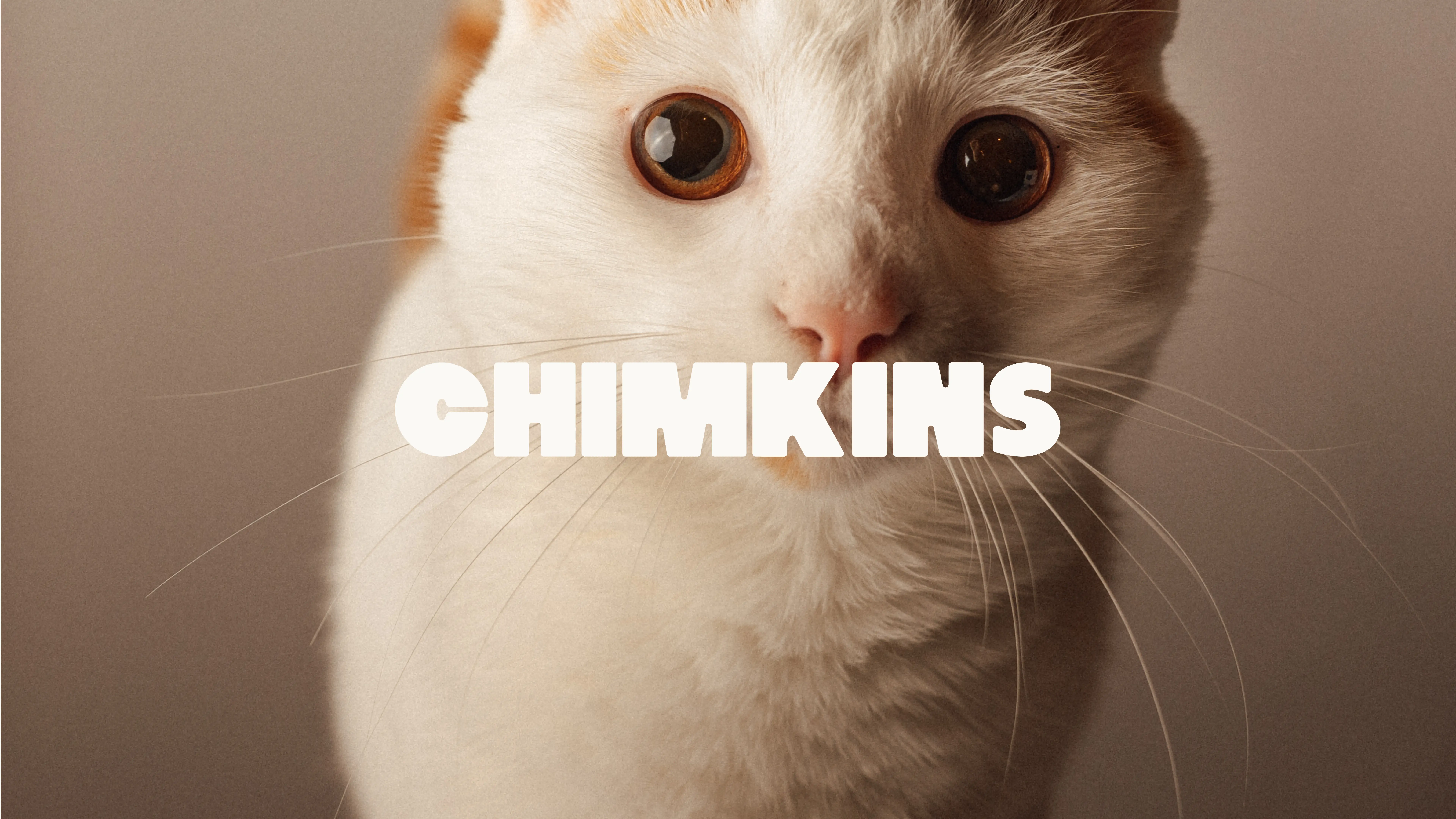 Chim Image 4